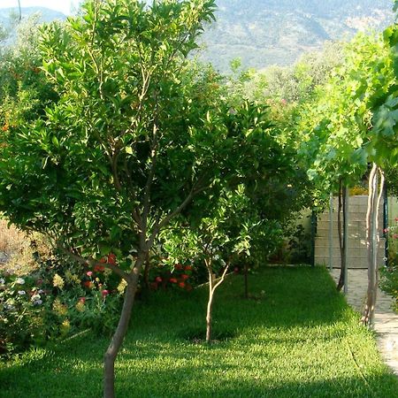 Galini Apartments ترابيزاكي المظهر الخارجي الصورة