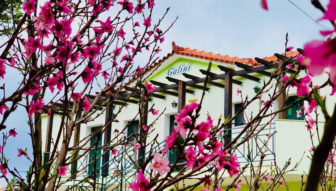 Galini Apartments ترابيزاكي المظهر الخارجي الصورة